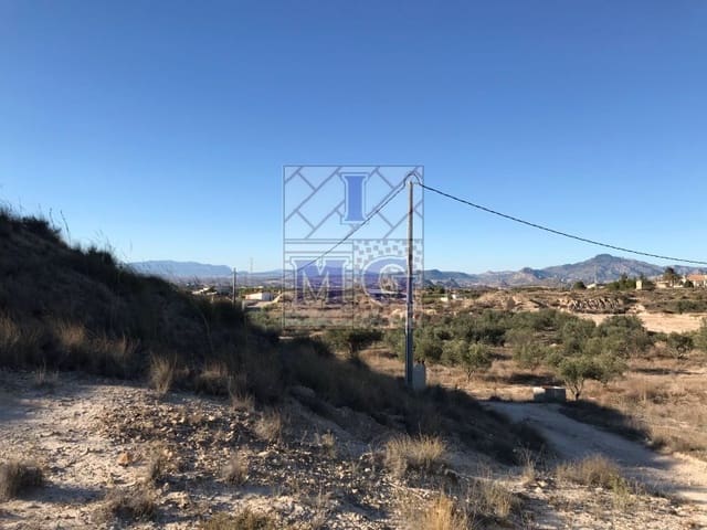 Terreno Non Edificato in vendita in Molina de Segura - 42.000 € (Rif: 9412402)