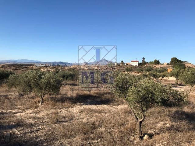 Terreno Non Edificato in vendita in Molina de Segura - 42.000 € (Rif: 9412402)