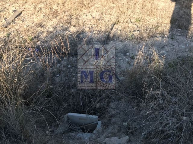 Terreno Non Edificato in vendita in Molina de Segura - 42.000 € (Rif: 9412402)