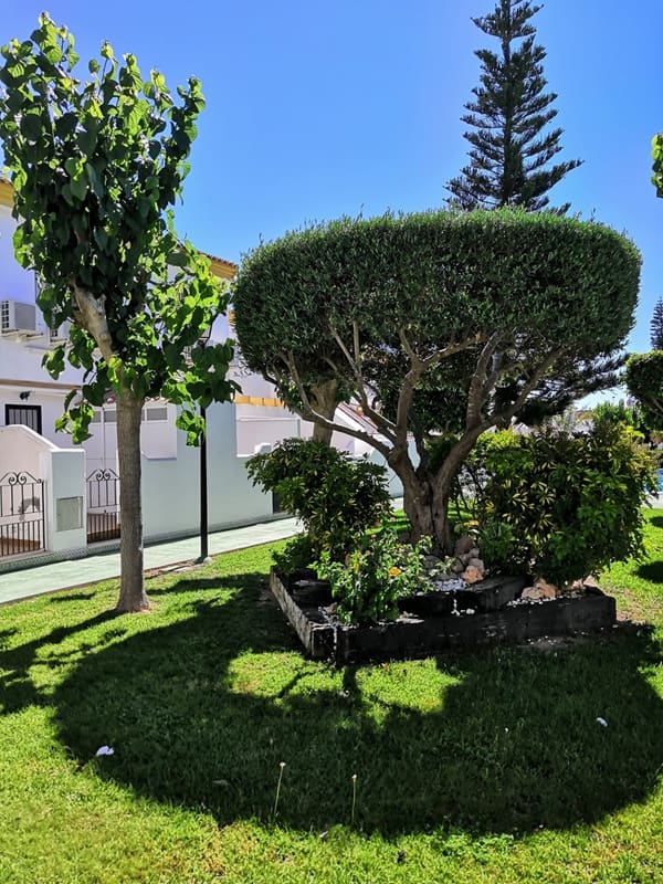 2 bedroom Villa for rent in Torre de la Horadada with pool garage - € 900 (Ref: 2728440)