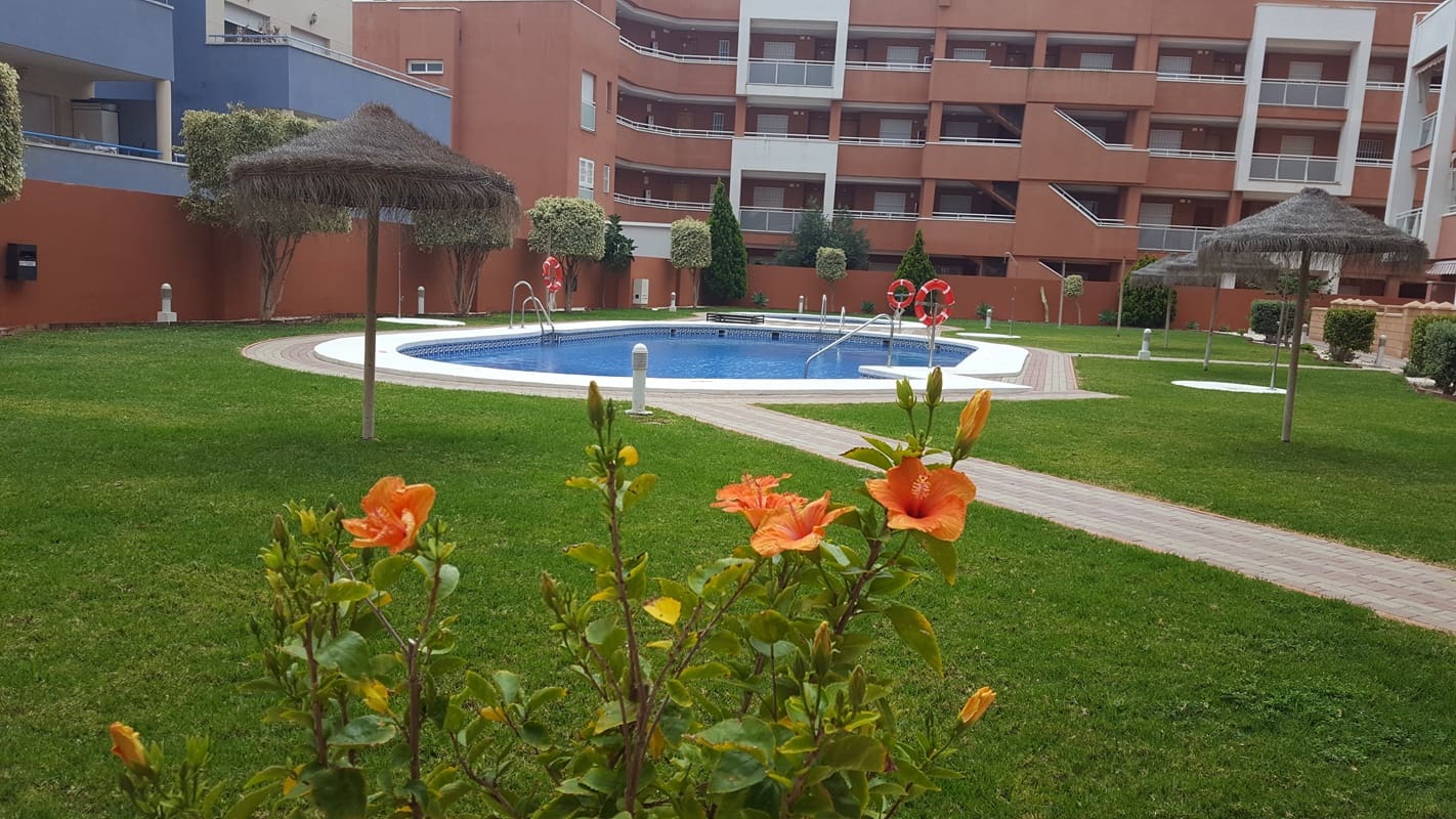 1 soveværelse Penthouse til leje i Roquetas de Mar med swimmingpool - € 500 (Ref: 4401565)