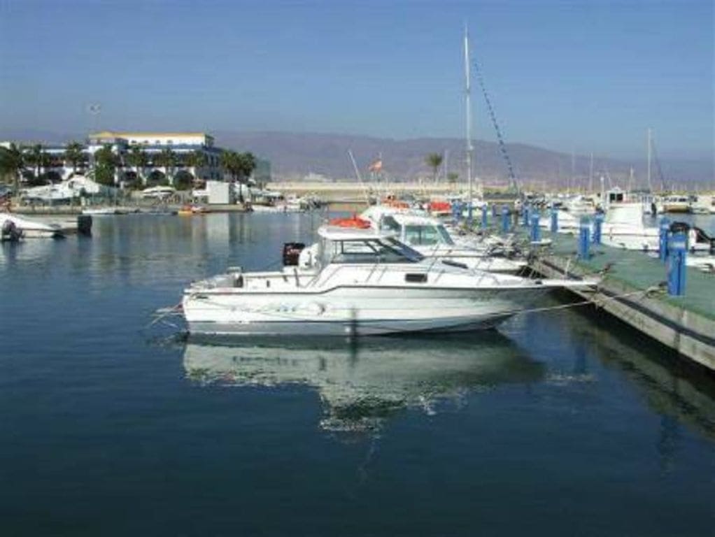 1 soveværelse Penthouse til leje i Roquetas de Mar med swimmingpool - € 500 (Ref: 4401565)