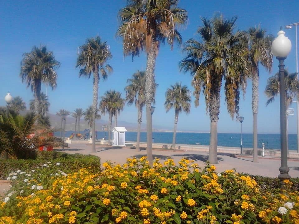   1 soveværelse   feriePenthouse i Roquetas de Mar   med   swimmingpool   - € 225 (Ref: 4401566)