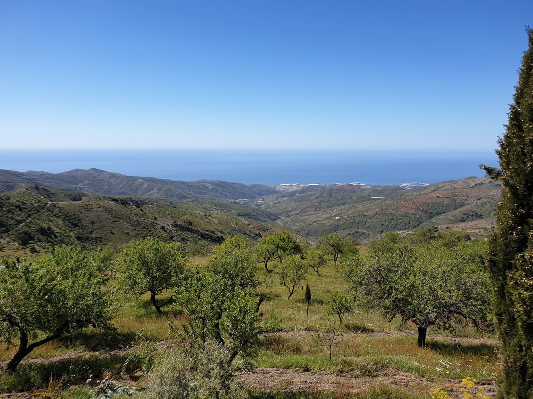 5 soverom Finca/Herregård til salgs i Murtas med garasje - € 410 000 (Ref: 7509376)