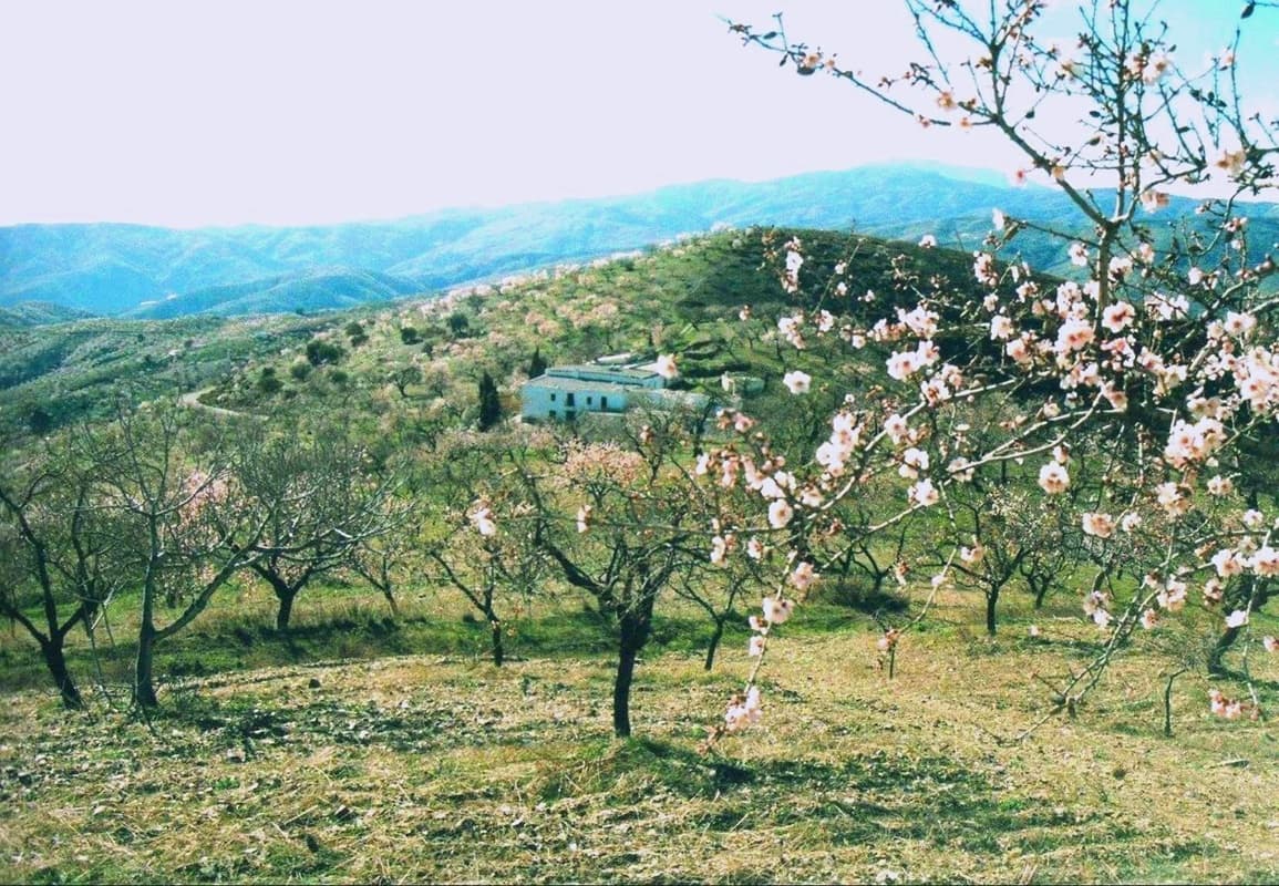 5 Zimmer Finca/Landgut zu verkaufen in Murtas mit Garage - 475.000 € (Ref: 7509376)