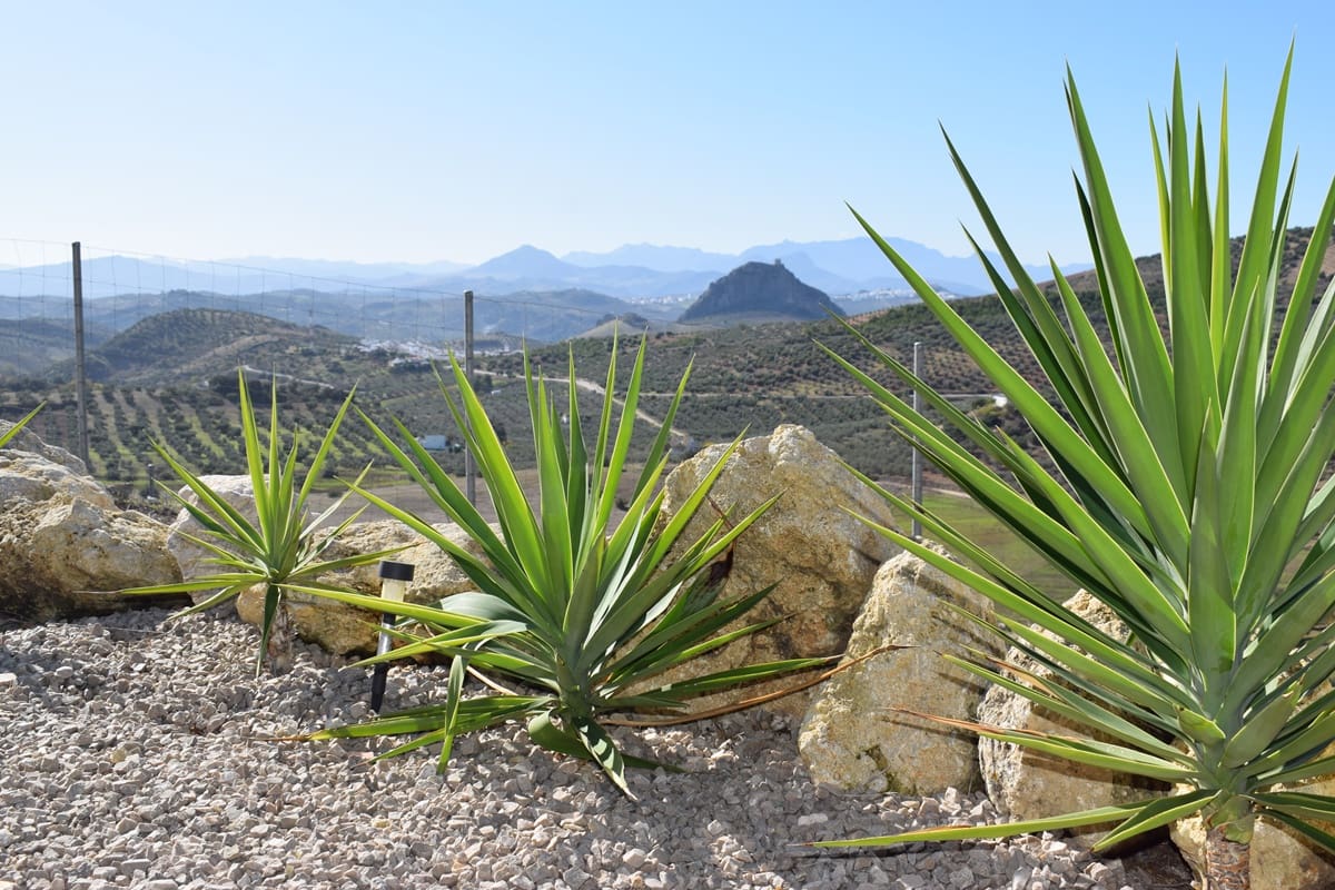 10 soveværelse Finca/Landehus til salg i Pruna med swimmingpool garage - € 1.500.000 (Ref: 7555908)