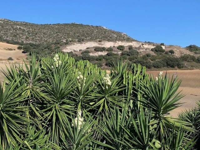 10 soveværelse Finca/Landehus til salg i Pruna med swimmingpool garage - € 1.500.000 (Ref: 7555908)