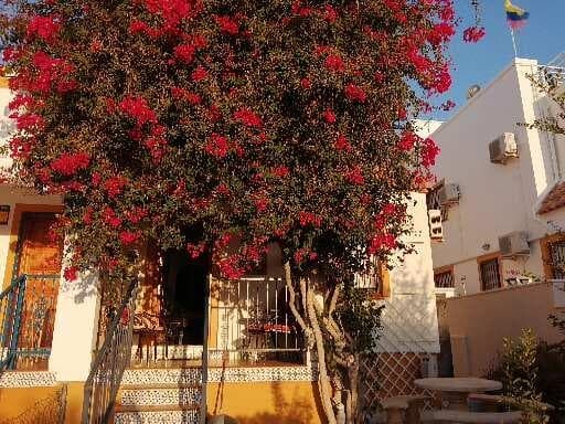 2 soveværelse Villa til leje i Torrevieja med swimmingpool - € 1.900 (Ref: 8571430)