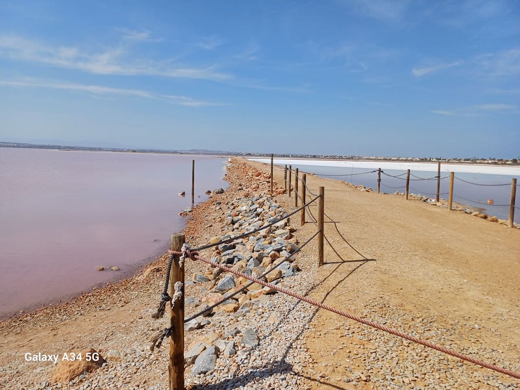 1 camera da letto Appartamento da affittare in Torrevieja con piscina garage - 649 € (Rif: 8890956)