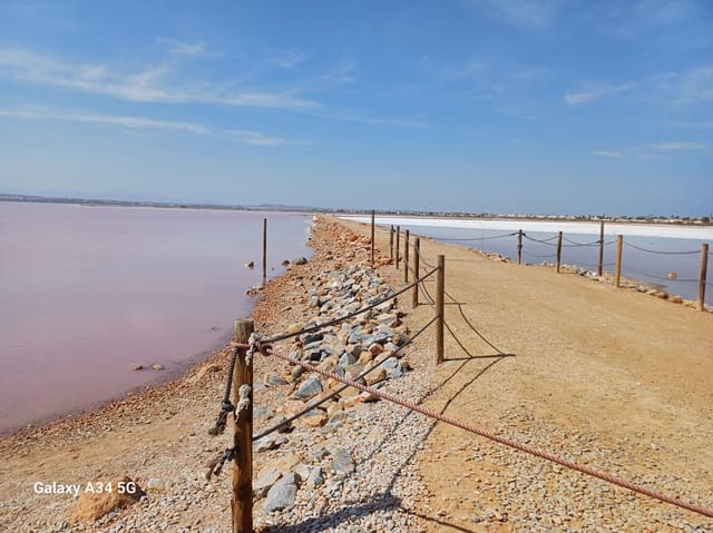 1 camera da letto Appartamento da affitare come casa vacanza in Torrevieja con piscina garage - 150 € (Rif: 8890957)