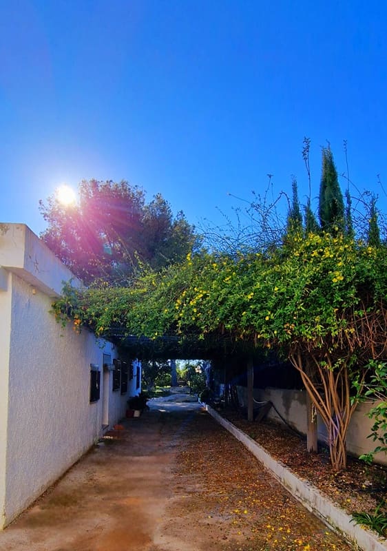 4 quarto Apartamento para venda em Montroy com piscina garagem - 250 000 € (Ref: 9673766)