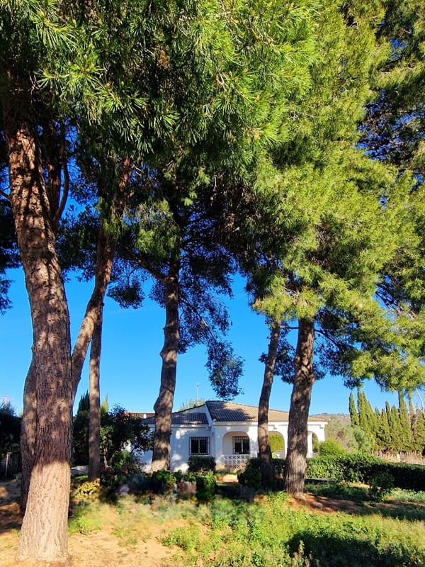 4 quarto Apartamento para venda em Montroy com piscina garagem - 250 000 € (Ref: 9673766)