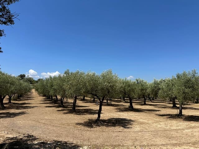 2 soveværelse Finca/Landehus til salg i Sant Jordi med swimmingpool garage - € 333.000 (Ref: 9938986)