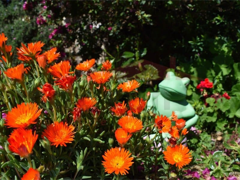 3 soveværelse Villa til salg i Almayate - € 415.000 (Ref: 9057900)