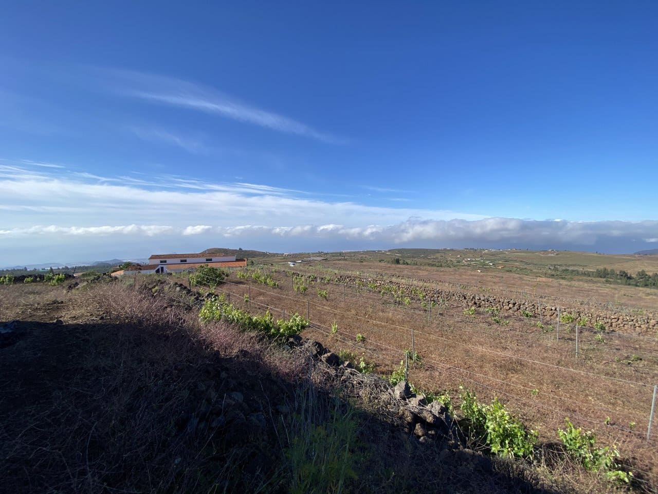 3 soveværelse Restaurant/Bar til salg i La Escalona - € 1.999.000 (Ref: 7321642)