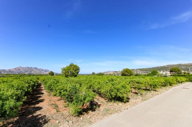 Building Plot for sale in Orba - € 170,000 (Ref: 9278797)