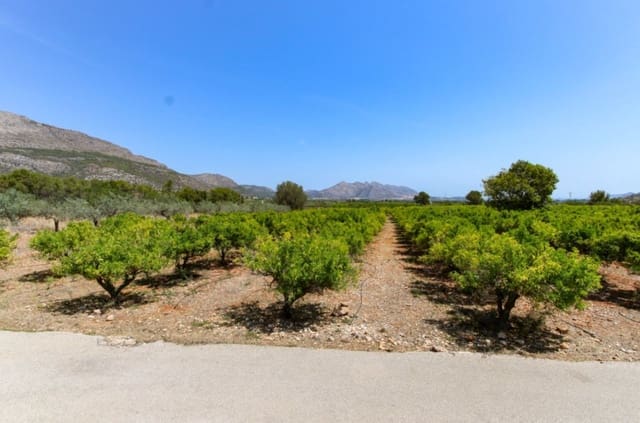 Building Plot for sale in Orba - € 170,000 (Ref: 9278797)