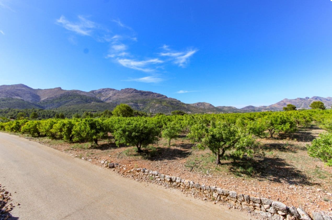 Area Edificabile in vendita in Orba - 170.000 € (Rif: 9278797)