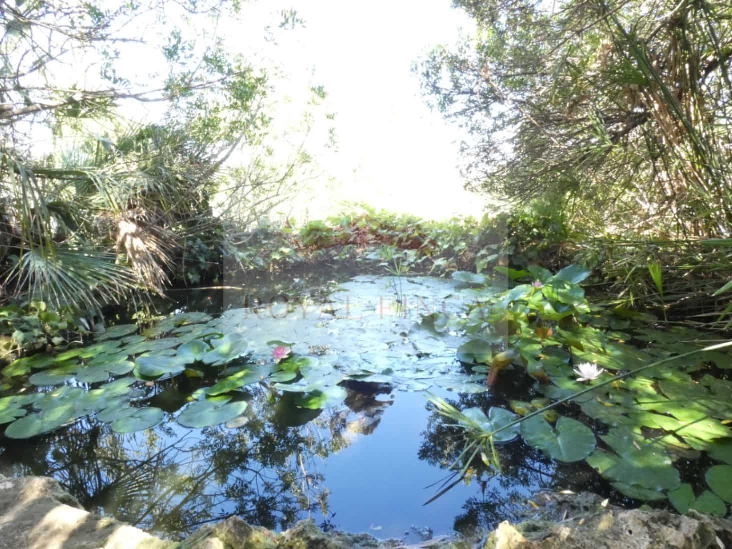 6 sypialnia Willa na sprzedaż w Pego - 795 000 € (Ref: 9715718)