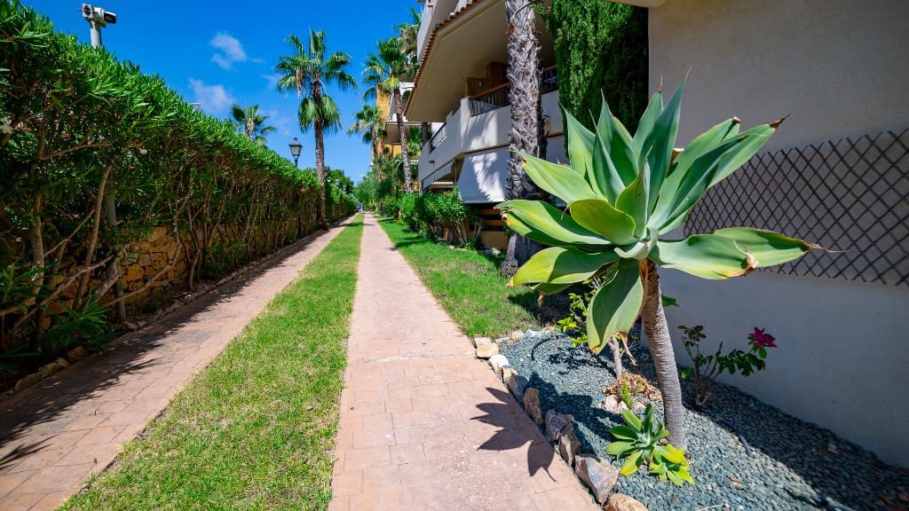 2 soverom Leilighet til salgs i Punta Prima med svømmebasseng garasje - € 220 000 (Ref: 10112257)