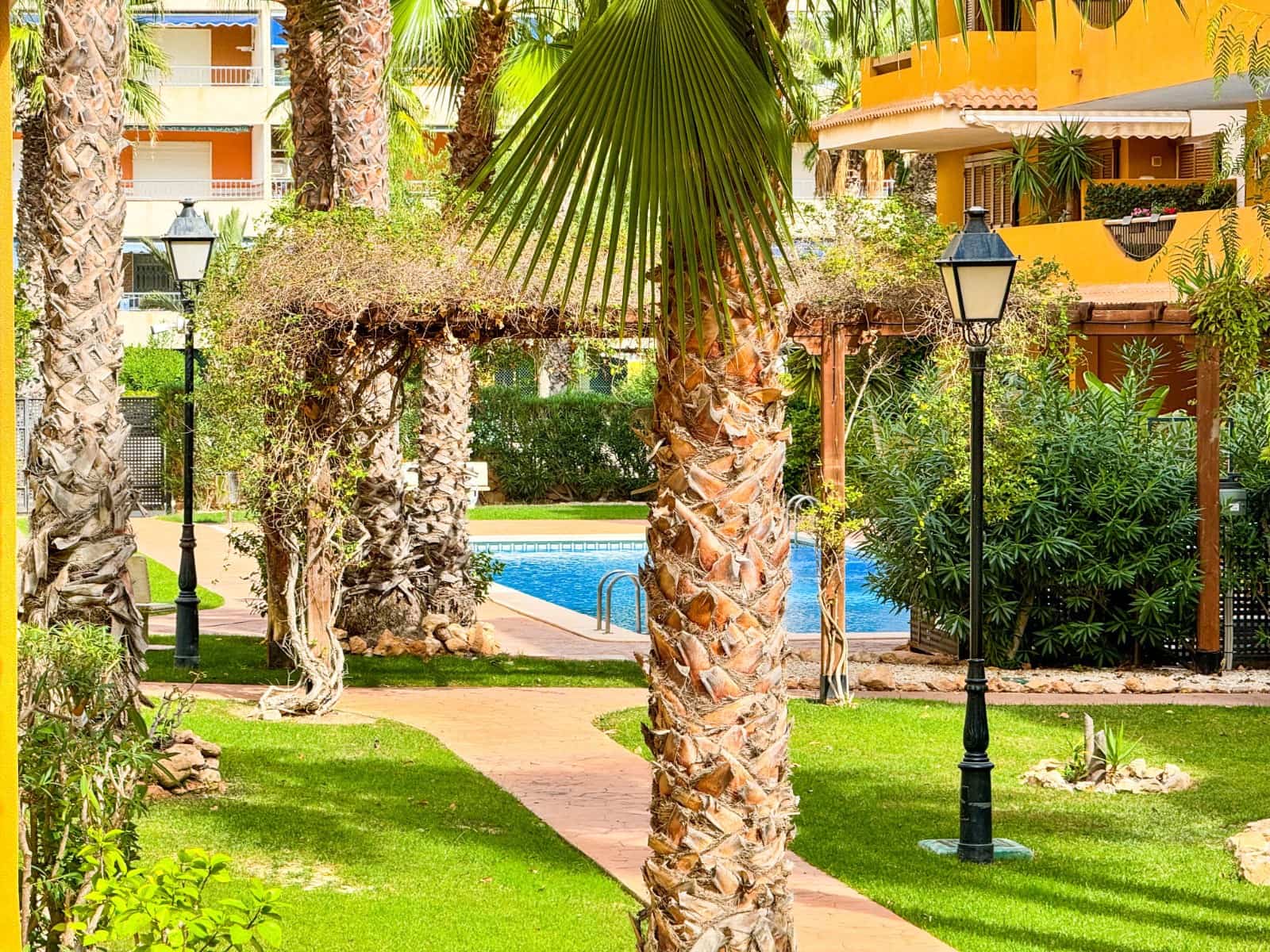2 chambre Appartement à vendre à Punta Prima avec piscine garage - 255 000 € (Ref: 10125270)