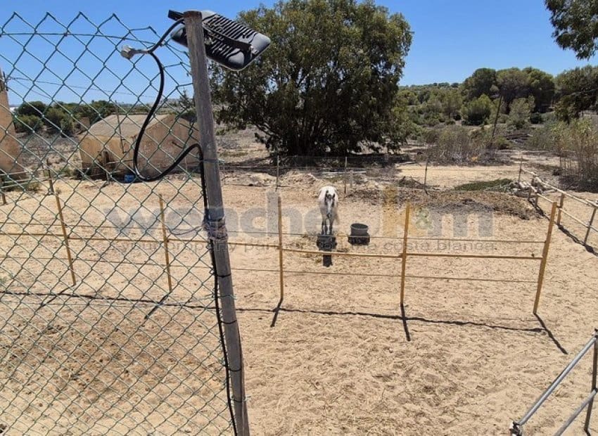 8 soveværelse Villa til salg i Los Balcones med swimmingpool garage - € 729.950 (Ref: 8853262)