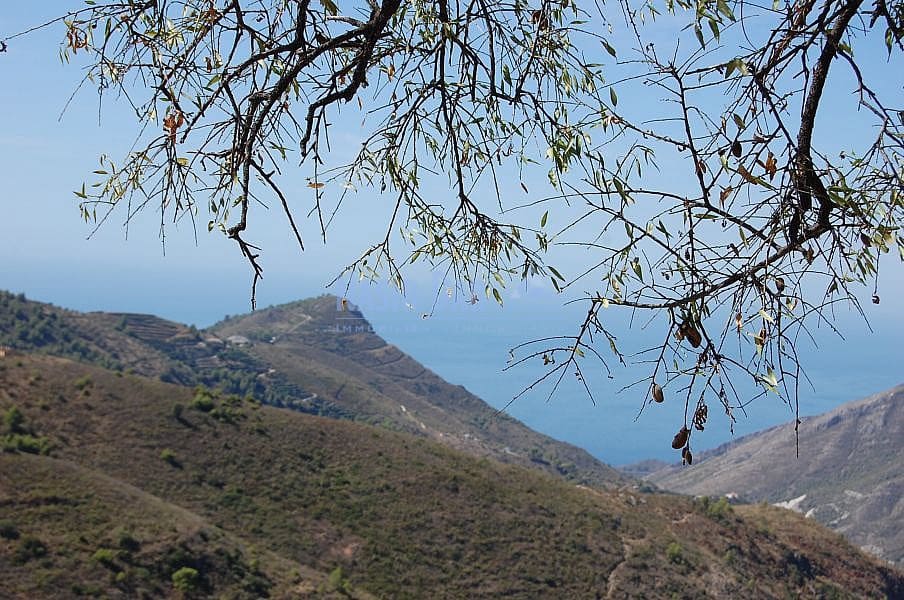 Terre non Aménagée à vendre à Nerja - 1 500 000 € (Ref: 4452773)
