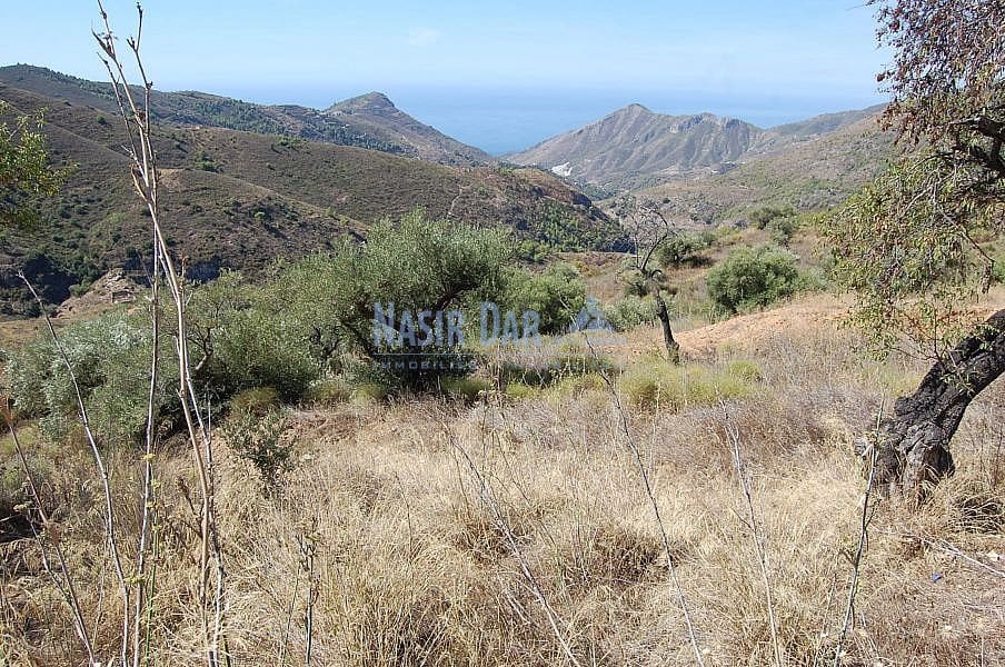 Terre non Aménagée à vendre à Nerja - 1 500 000 € (Ref: 4452773)