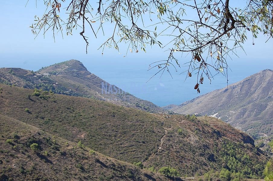 Terre non Aménagée à vendre à Nerja - 1 500 000 € (Ref: 4452773)