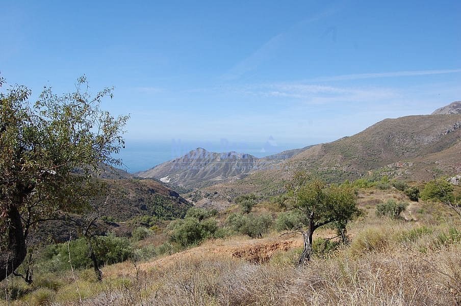 Terre non Aménagée à vendre à Nerja - 1 500 000 € (Ref: 4452773)