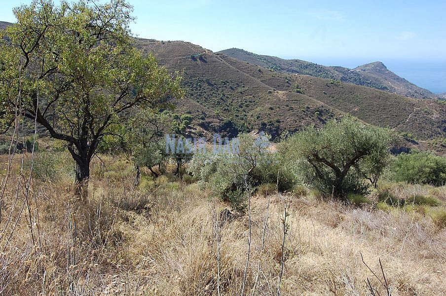 Terre non Aménagée à vendre à Nerja - 1 500 000 € (Ref: 4452773)