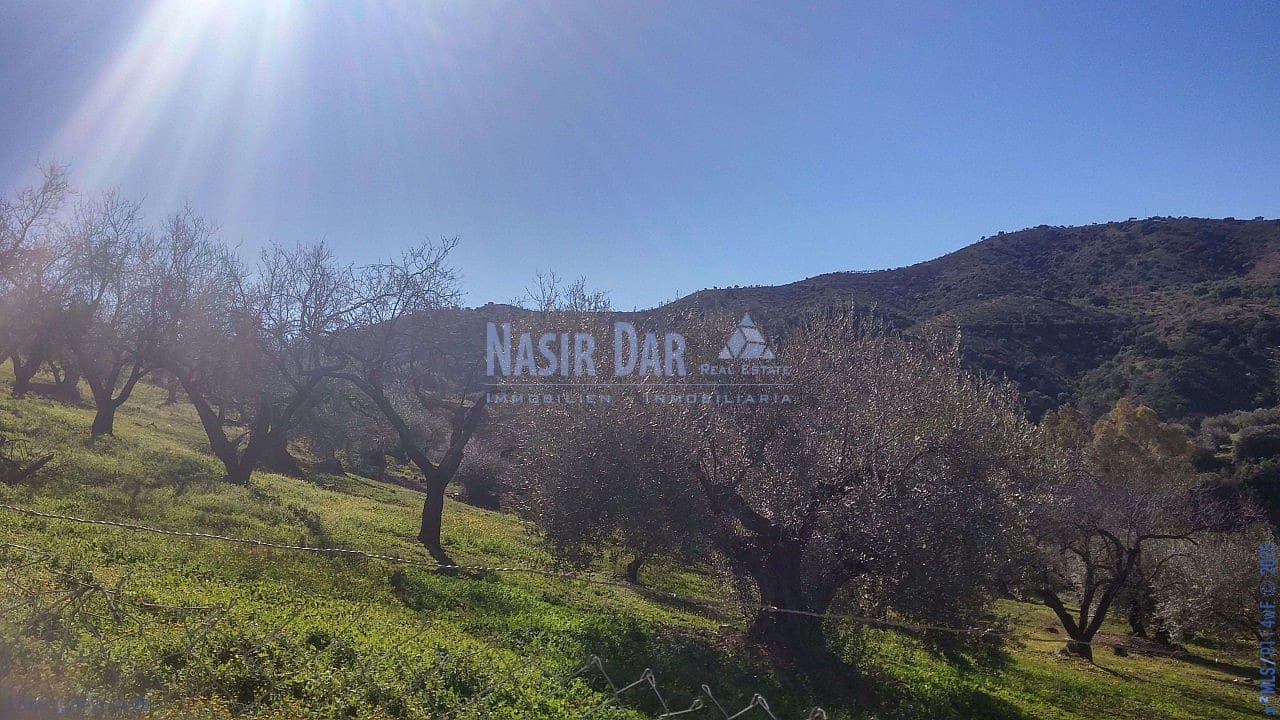 Działka budowlana na sprzedaż w Riogordo - 1 033 000 € (Ref: 7550747)