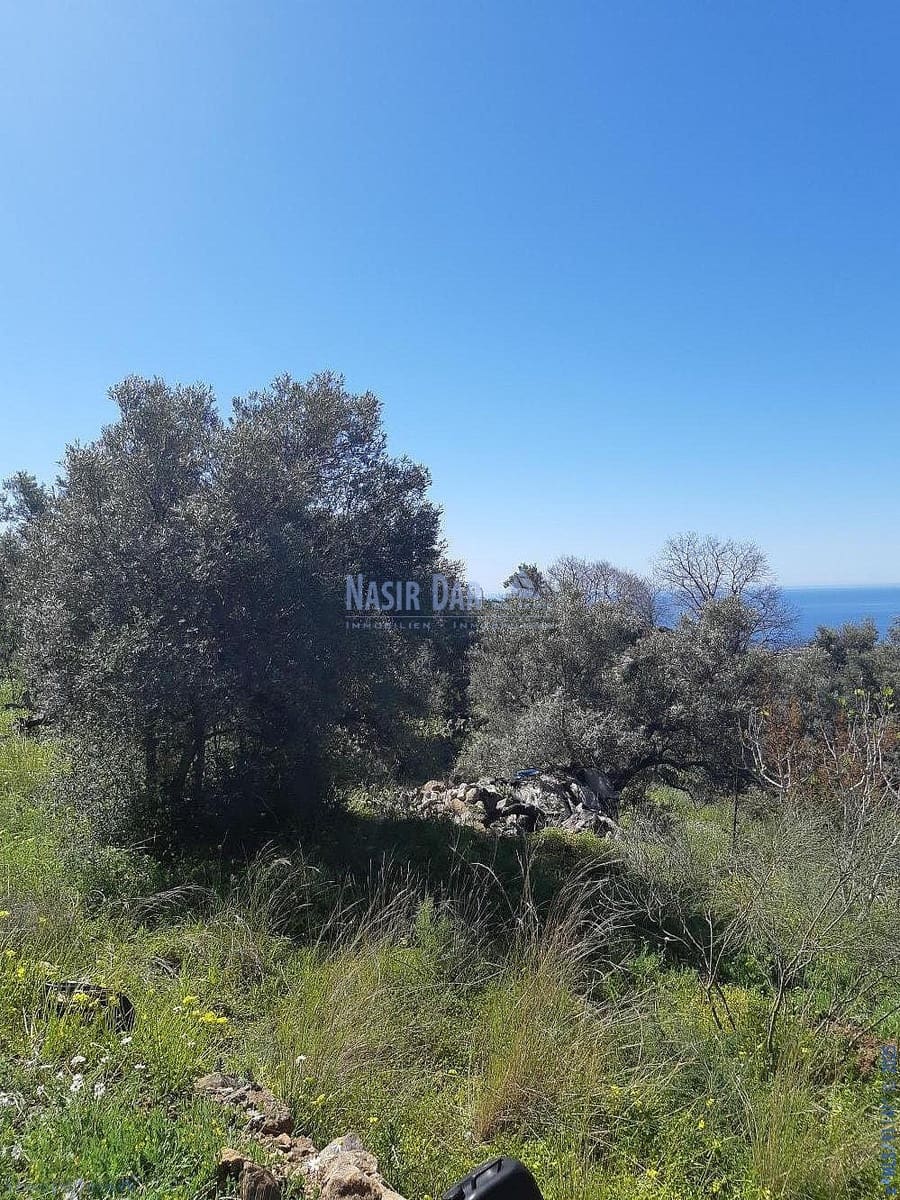 Teren niezagospodarowany na sprzedaż w Torrox - 74 000 € (Ref: 7550748)