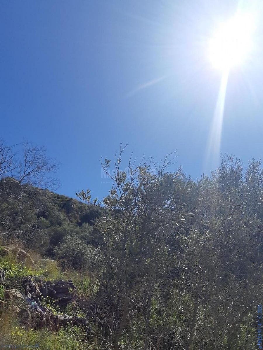 Teren niezagospodarowany na sprzedaż w Torrox - 74 000 € (Ref: 7550748)