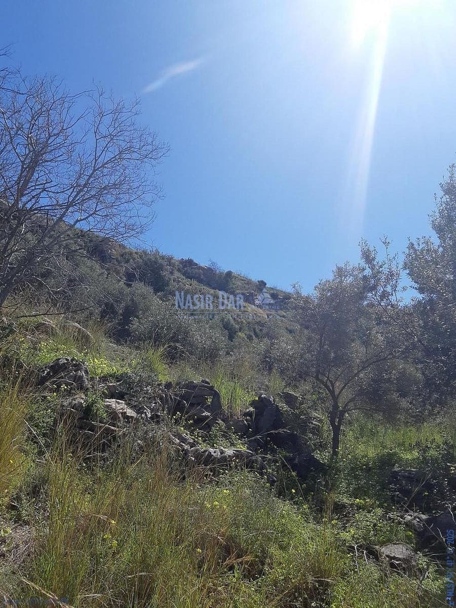 Teren niezagospodarowany na sprzedaż w Torrox - 74 000 € (Ref: 7550748)