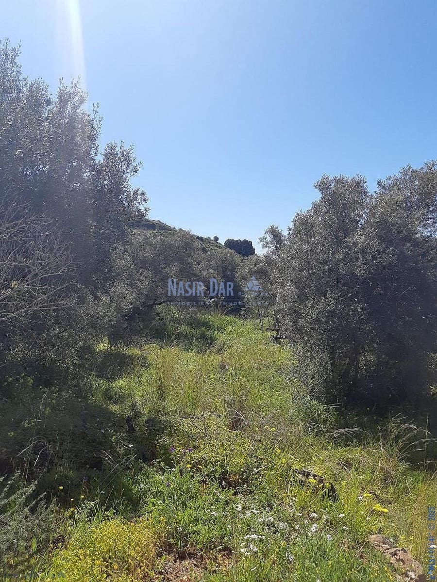 Teren niezagospodarowany na sprzedaż w Torrox - 74 000 € (Ref: 7550748)
