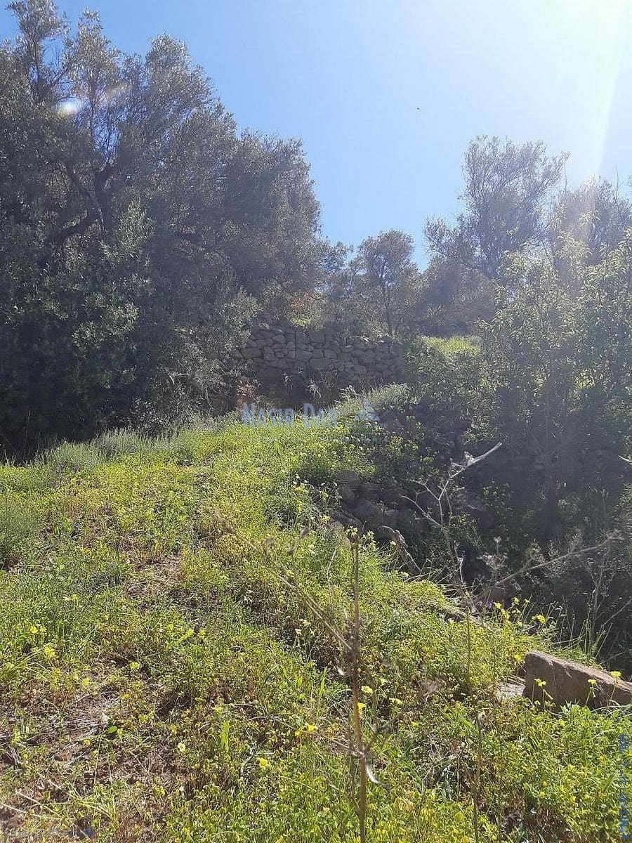 Teren niezagospodarowany na sprzedaż w Torrox - 74 000 € (Ref: 7550748)