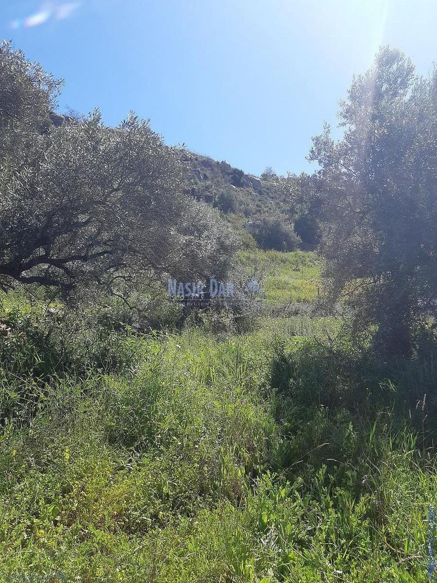 Teren niezagospodarowany na sprzedaż w Torrox - 74 000 € (Ref: 7550748)