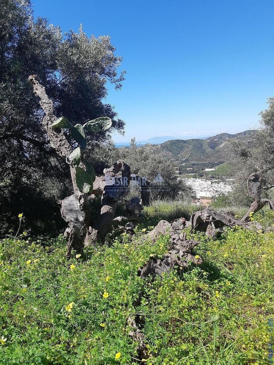 Teren niezagospodarowany na sprzedaż w Torrox - 74 000 € (Ref: 7550748)