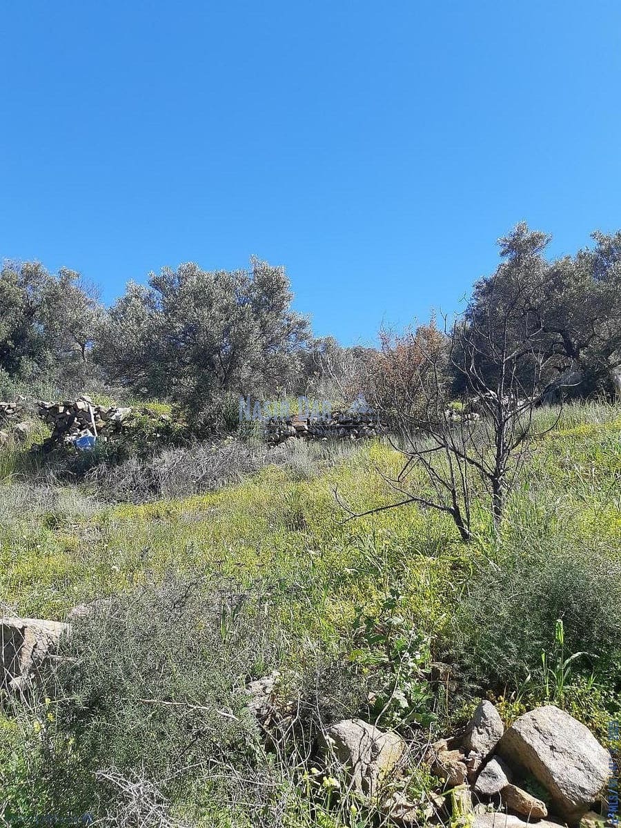 Teren niezagospodarowany na sprzedaż w Torrox - 74 000 € (Ref: 7550748)