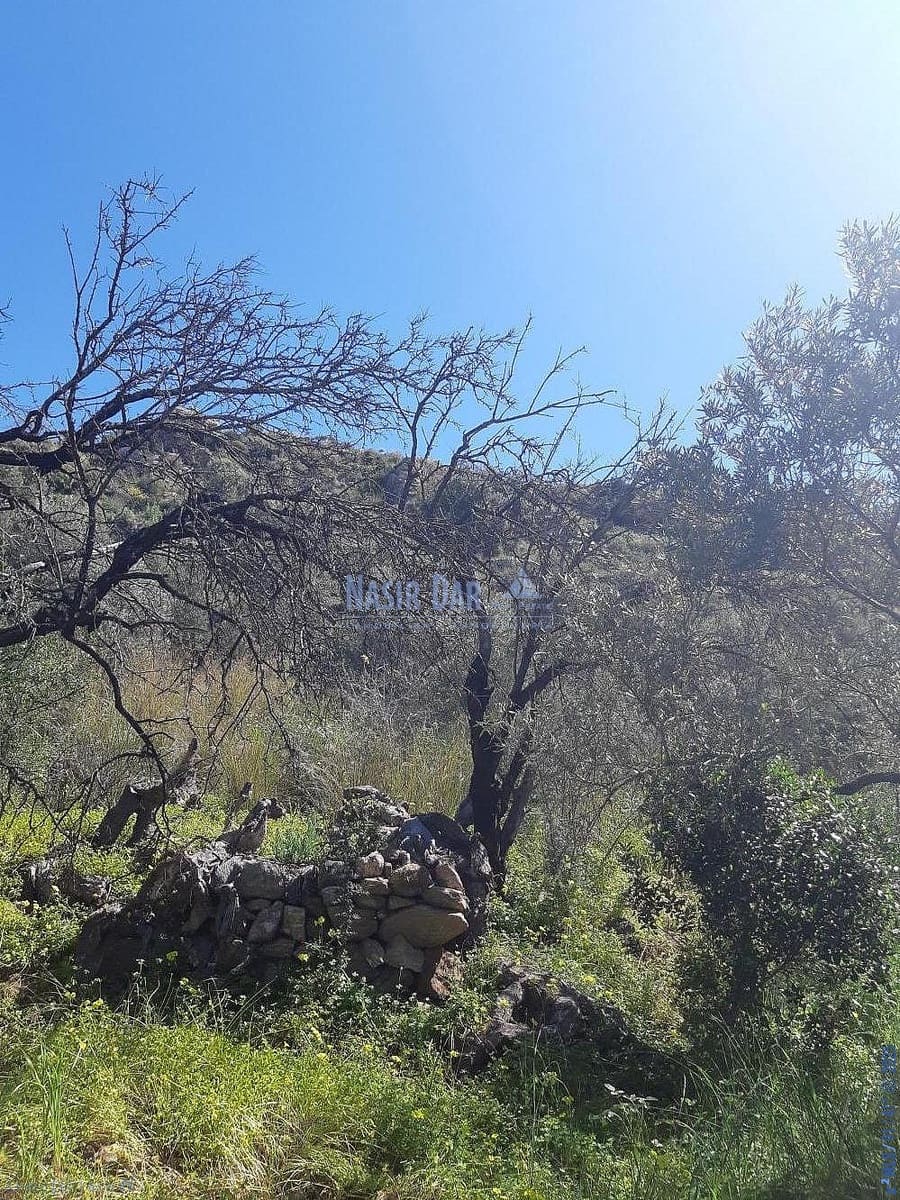 Teren niezagospodarowany na sprzedaż w Torrox - 74 000 € (Ref: 7550748)