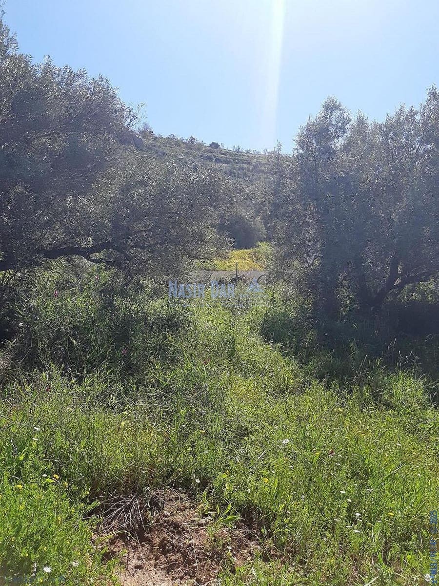 Teren niezagospodarowany na sprzedaż w Torrox - 74 000 € (Ref: 7550748)