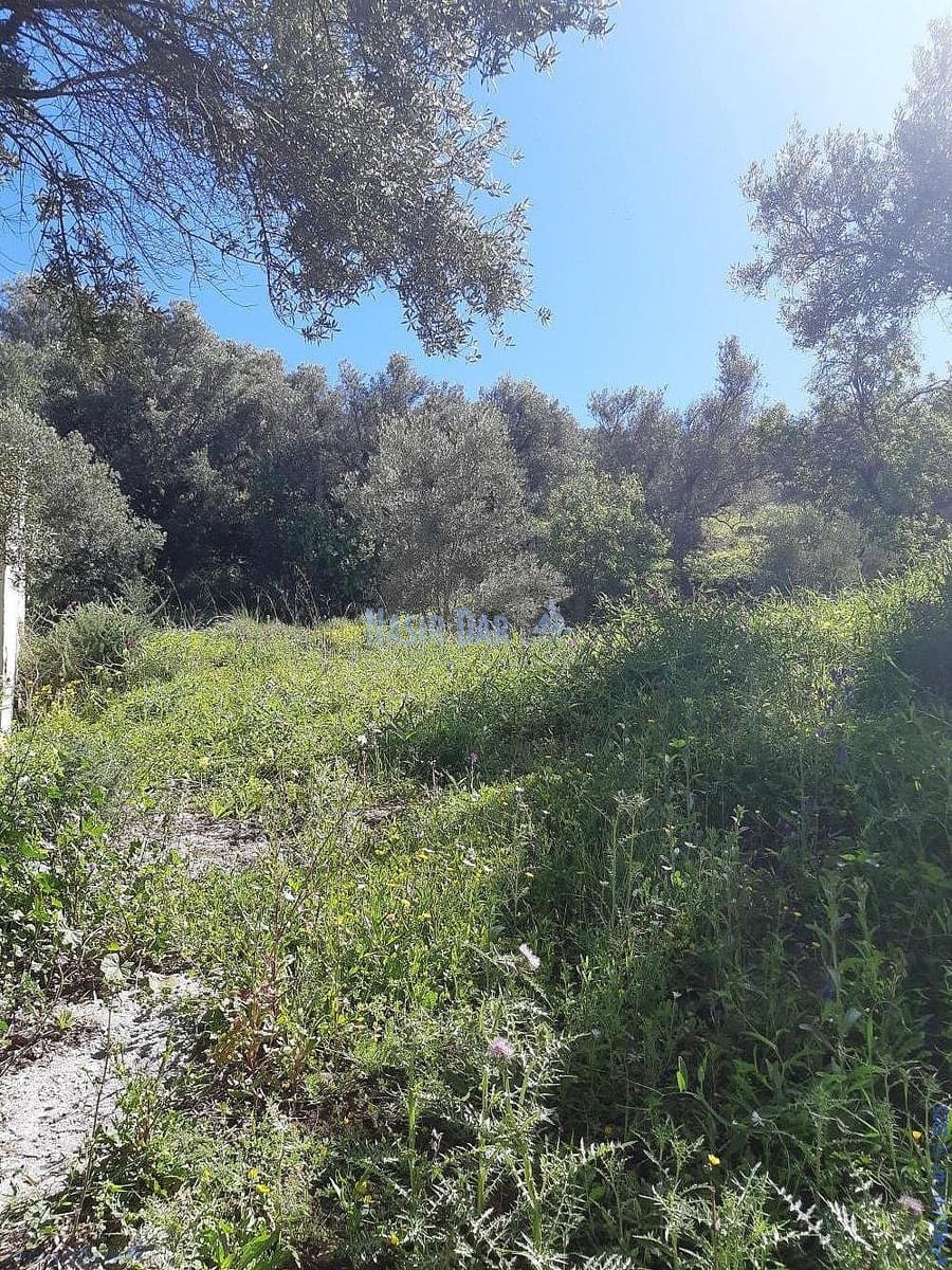 Teren niezagospodarowany na sprzedaż w Torrox - 74 000 € (Ref: 7550748)