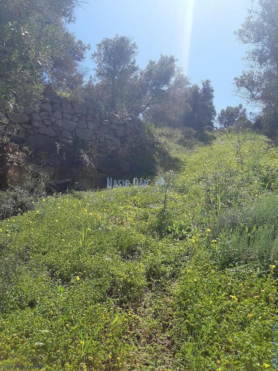 Teren niezagospodarowany na sprzedaż w Torrox - 74 000 € (Ref: 7550748)