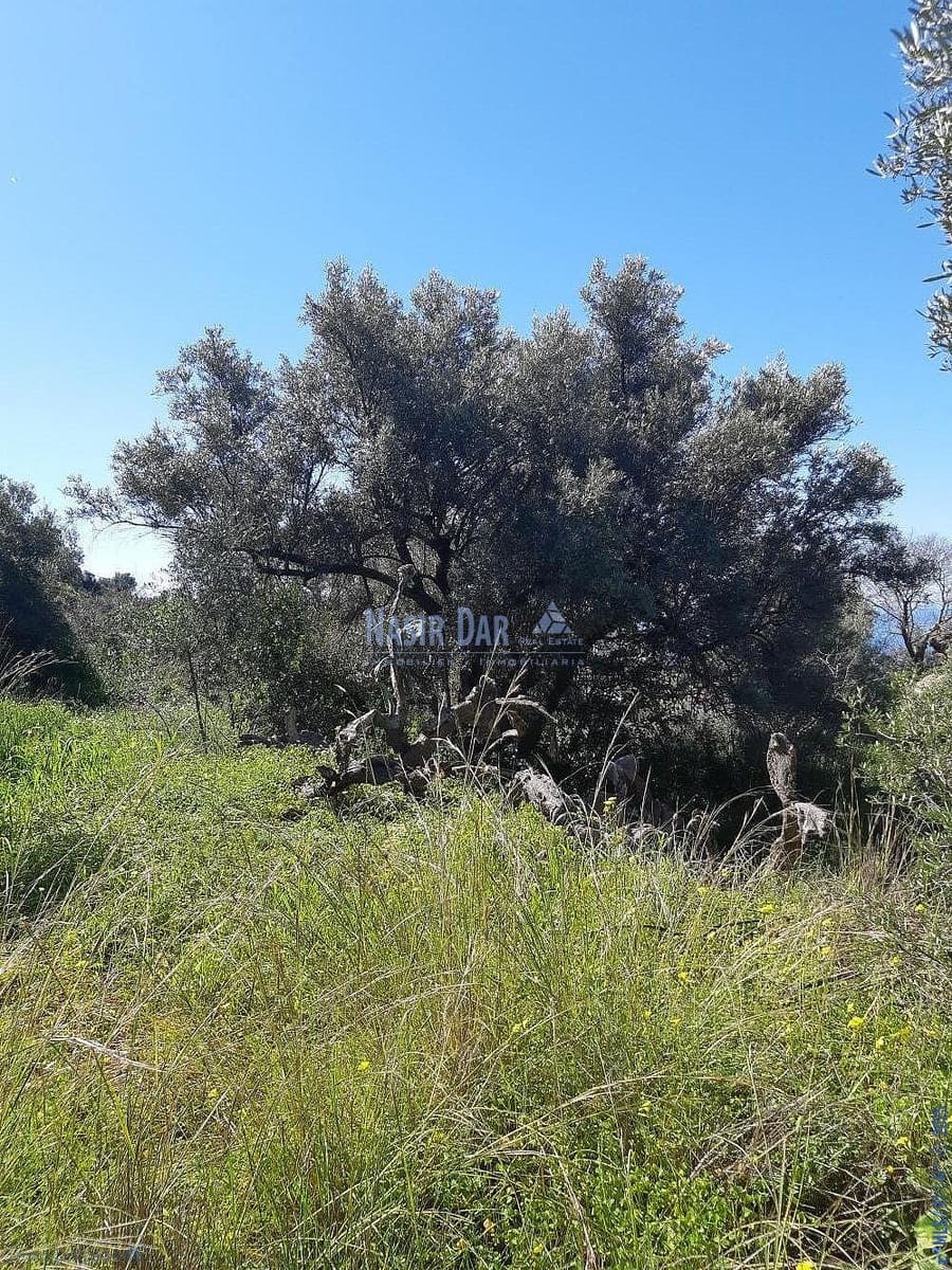 Teren niezagospodarowany na sprzedaż w Torrox - 74 000 € (Ref: 7550748)