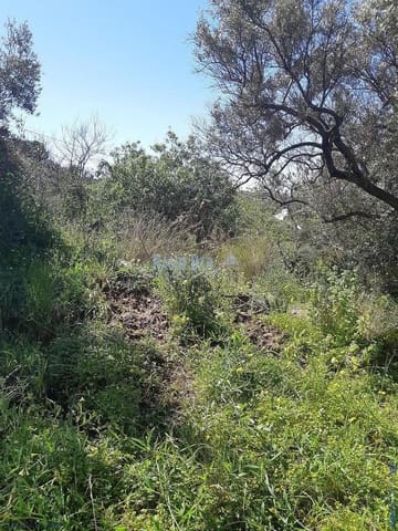 Grond te koop in Torrox Pueblo, Torrox - € 74.000 (Ref: 7550748)