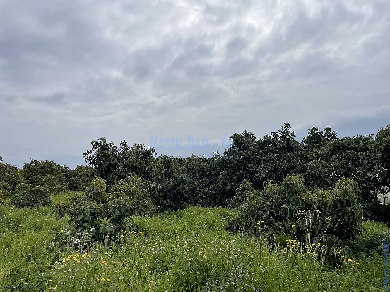 1 soveværelse Byhus til salg i Nerja med garage - € 420.000 (Ref: 9750998)