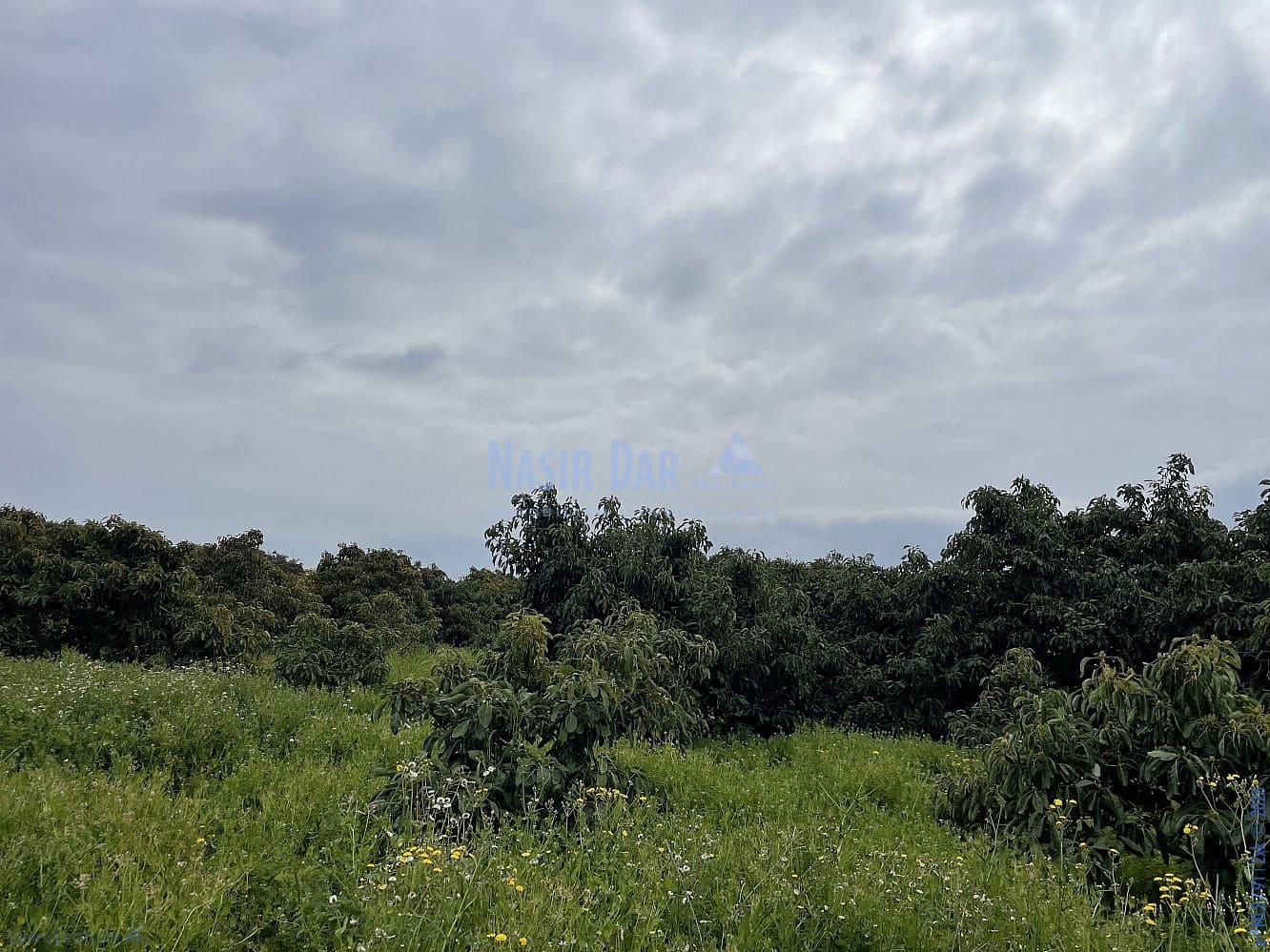 1 soveværelse Byhus til salg i Nerja med garage - € 420.000 (Ref: 9750998)