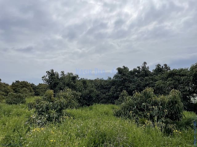 1 soveværelse Byhus til salg i Centro, Nerja med garage - € 420.000 (Ref: 9750998)