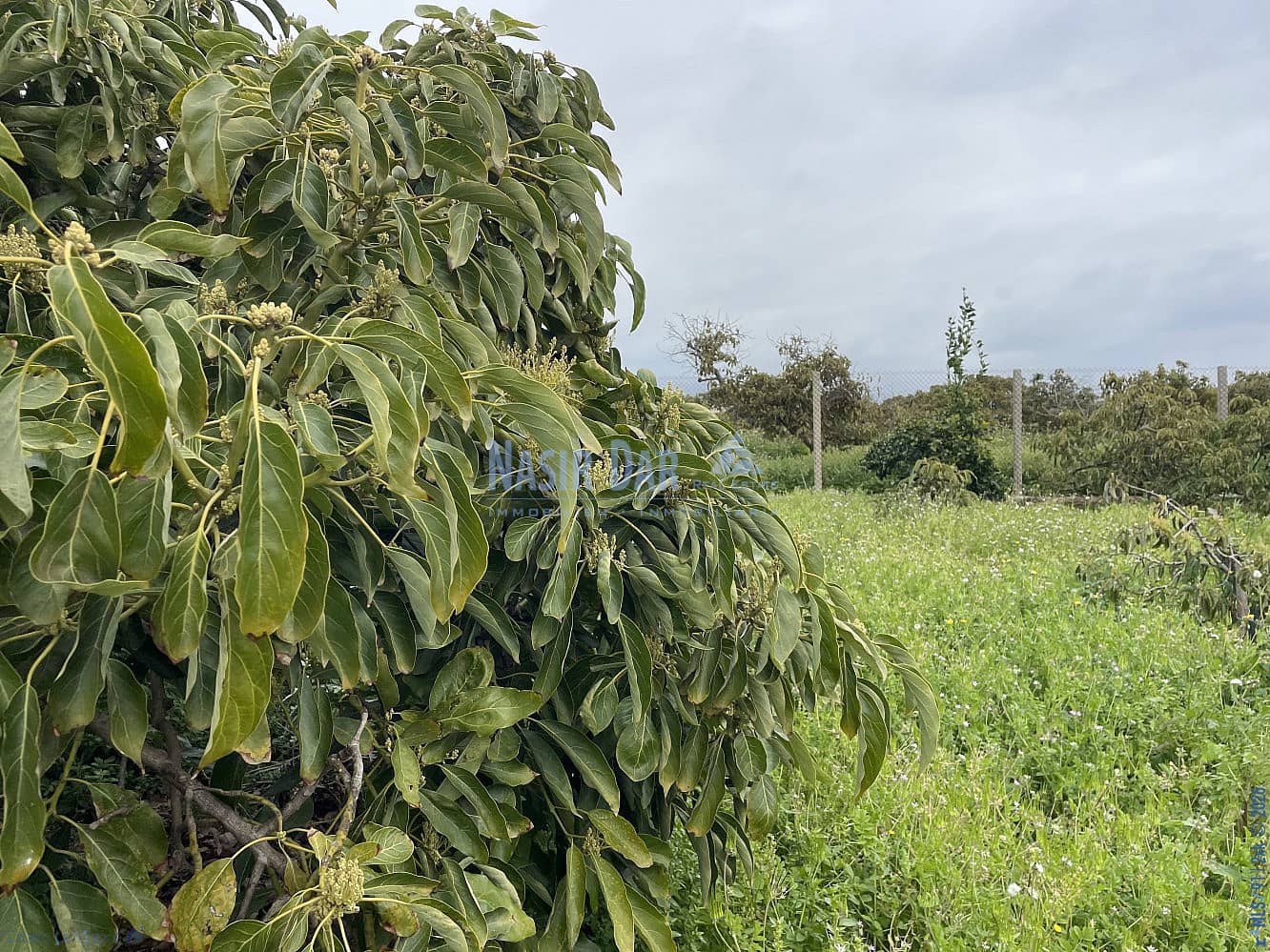 1 soveværelse Byhus til salg i Nerja med garage - € 420.000 (Ref: 9750998)